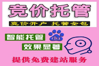 成功背后的力量：SEM推广代运营公司的故事
